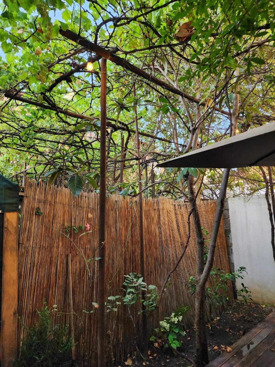 Vila 29A Tiranë Ngoại thất bức ảnh